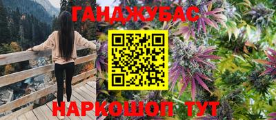 прущие грибы Тара