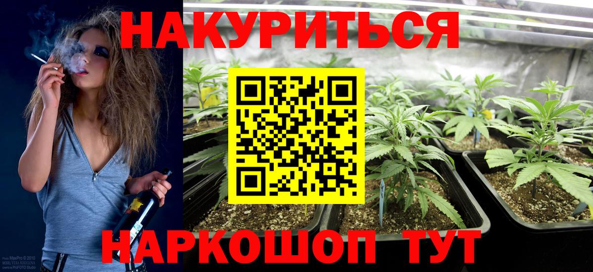 Бошки Шишки OG Kush  Вход с VPN  Новороссийск  Канабис Amnesia  Шишки марихуана Amnesia 